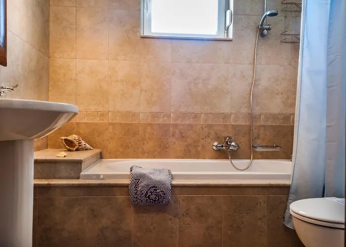 فيلة Dionysus غينادي